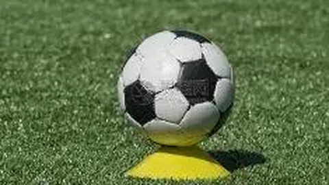 皇冠体育 产品 092840 x9m