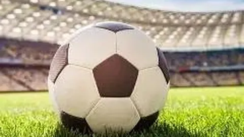 皇冠体育 产品 084733 65n